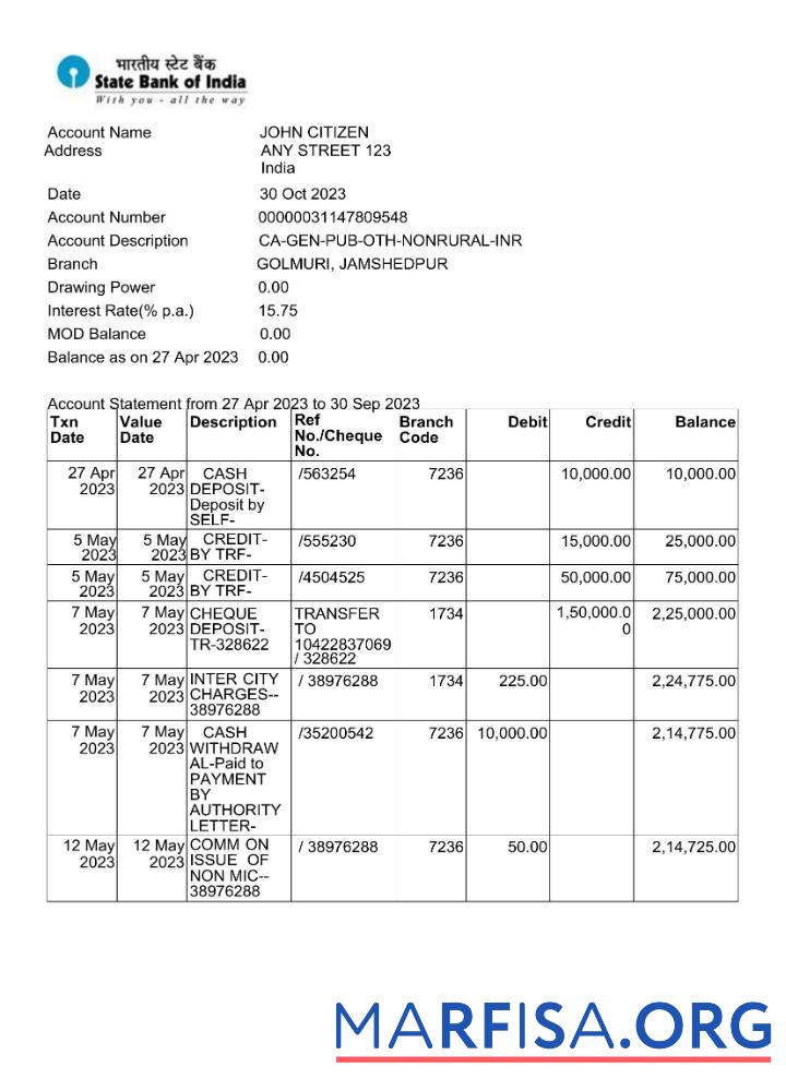 Blank India State Bank of Inida bank statement word example